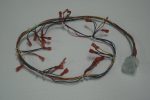 LM18 8ct Tray Harness